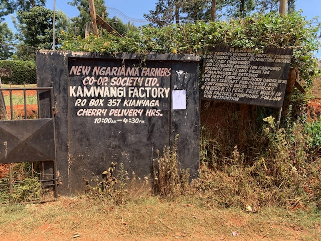 Kenya Kamwangi Peaberry