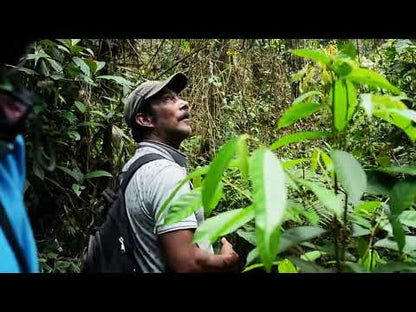 Full Spectrum: Colombia Agua De Dios